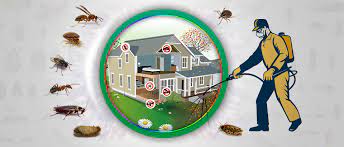 JT Solution – Pest Control & Fumigation in johannesburg
