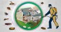 Pest Control and Fumigation in Johannesburg