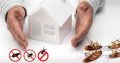 Pest Control and Fumigation in Johannesburg