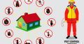 Eco Fumigation – Pest Control & Fumigation in Roodepoort