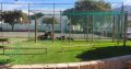 Benjamin instant lawn and Artificial grass