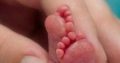 Baby G Safe Haven for abandoned and abused babies