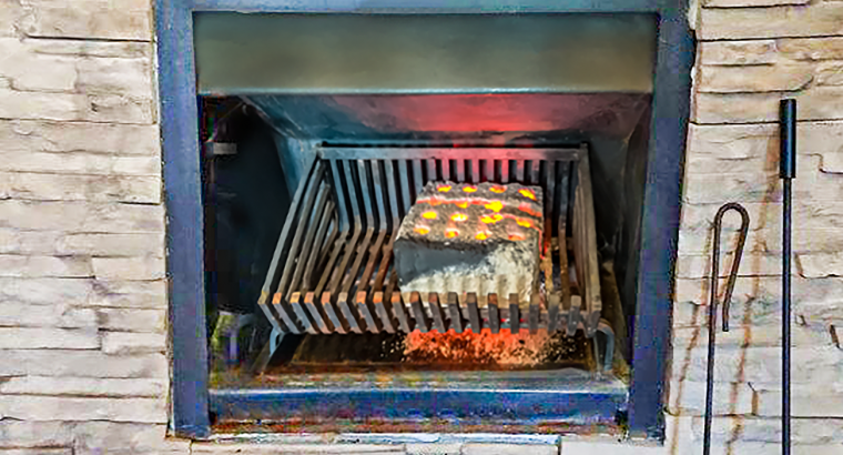 Bio Bricks