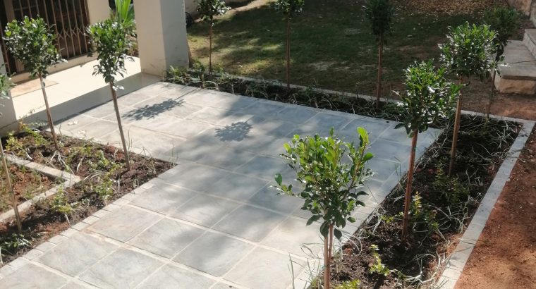 Benjamin instant lawn and Artificial grass