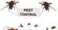 Fumigation Services Midrand