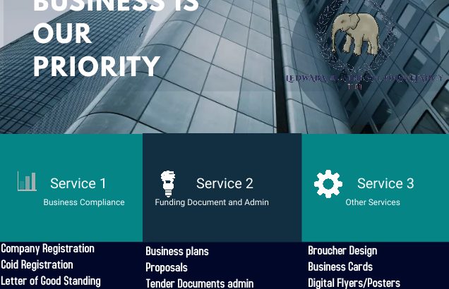 Business Consultant