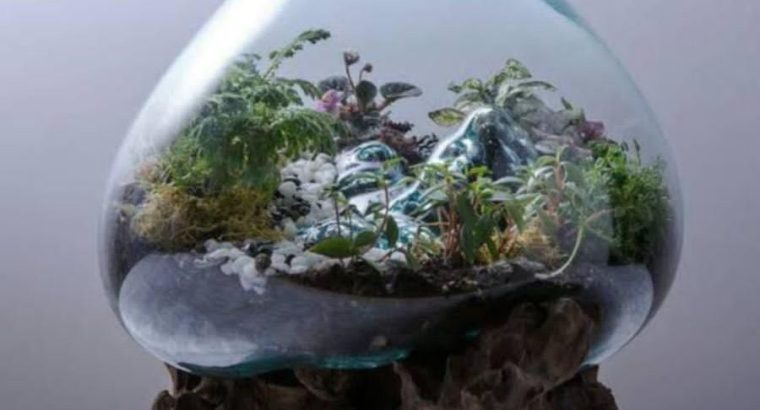 Hand Blown Glass | Business Opportunity, Contact us
