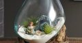 Fish Bowl