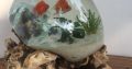 Fish Bowl