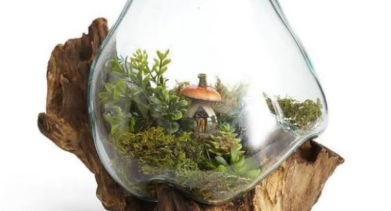 Fish Bowl