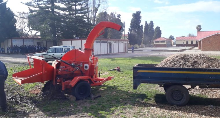 Cape Tree Services