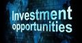 Serious Private Investor Looking for Positive Investment