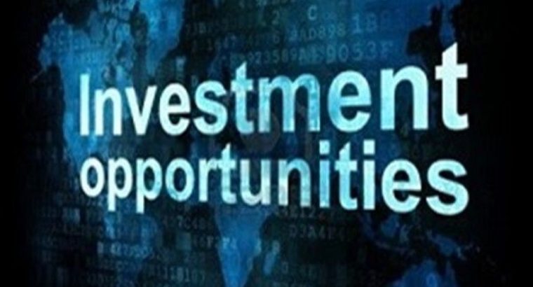 Serious Private Investor Looking for Positive Investment