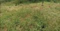 15 1/8 plots for sale near olepolos country club at kisames