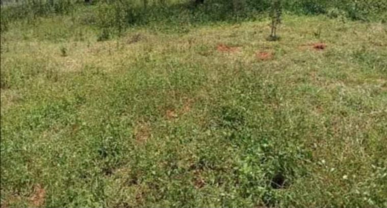 15 1/8 plots for sale near olepolos country club at kisames