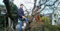 Cape Tree Services
