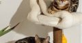 Bengal kittens for sale