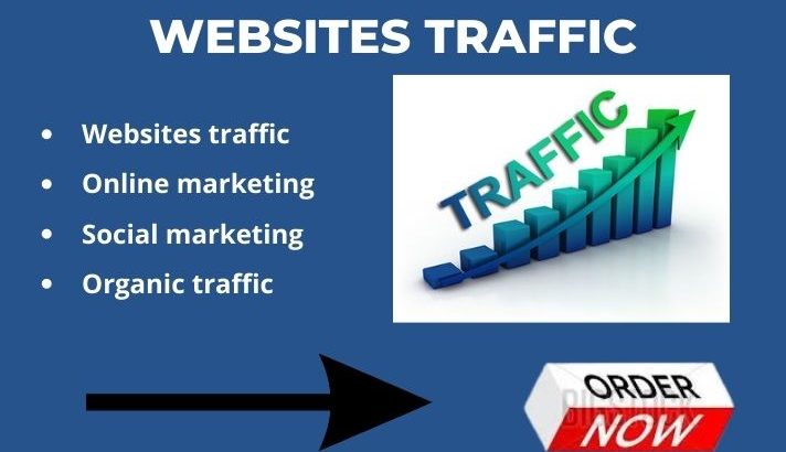 I will you help get traffic to your website, blog, etc