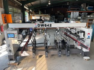 Through-feed Multi Borer, DW-642, HOLZ, Automatic