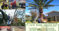 Cape Tree Services