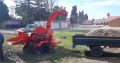 Cape Tree Services