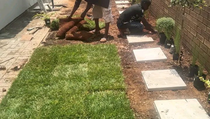 Instant Lawn Delivery and Service
