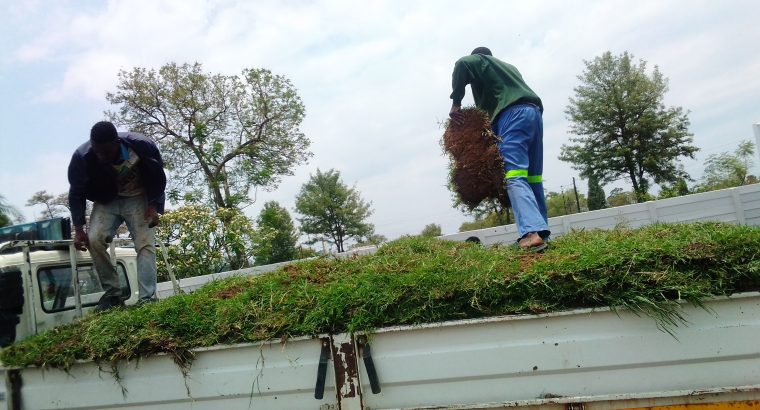 Instant Lawn Delivery and Service