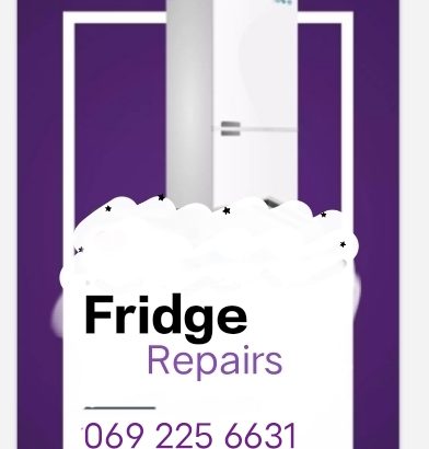 Fridge Repairs