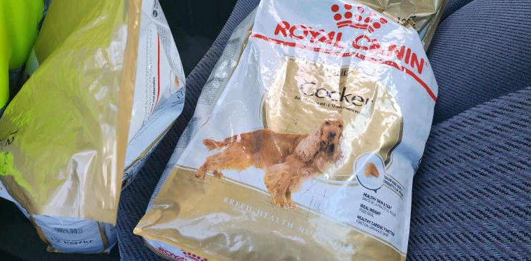 Royal Canin 8kg Mini Adult Dog Food
