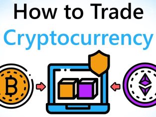 Train to become an independent Crypto investor.