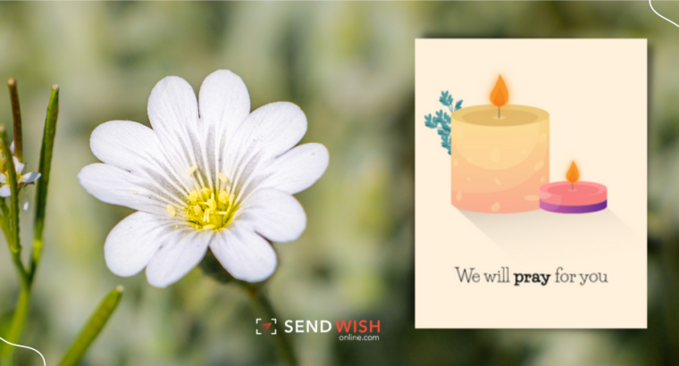 Free sympathy cards