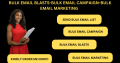 I will send bulk email, bulk email blast, email campaign