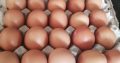 Fresh Farm eggs