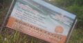Land on promo