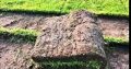 INSTANT EVERGREEN LAWN