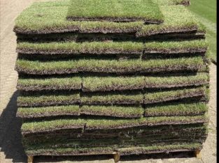 Top Quality Instant lawn