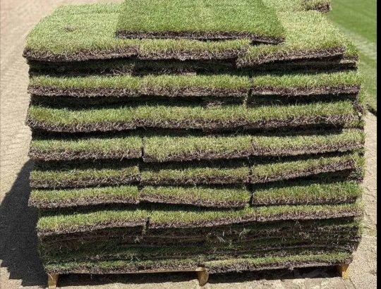 Top Quality Instant lawn