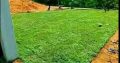 Top Quality Instant lawn