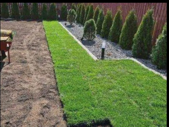 Top Quality Instant lawn