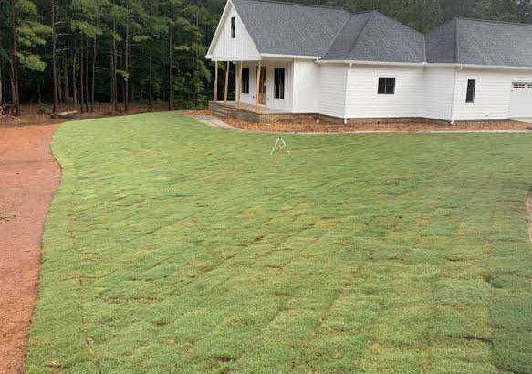 Instant lawn. supply and installation.