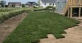 Instant lawn. supply and installation.