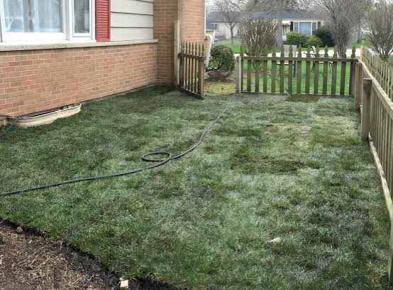 Instant lawn. supply and installation.