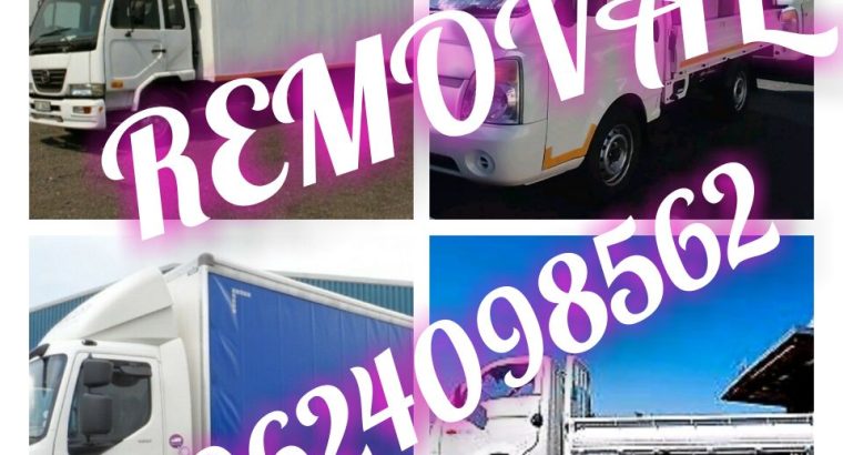 brain logistics for furniture removals