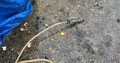 Glue Gun with Pressure Pot, KUPER