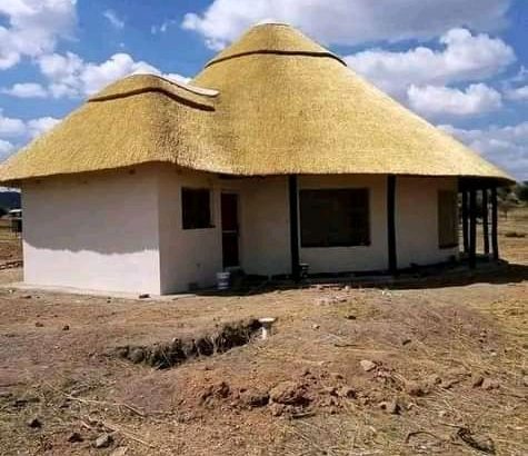 Thatch Expert’s 0737322227..