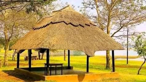 Thatch Expert’s 0737322227