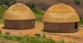 Thatch Expert’s 0737322227