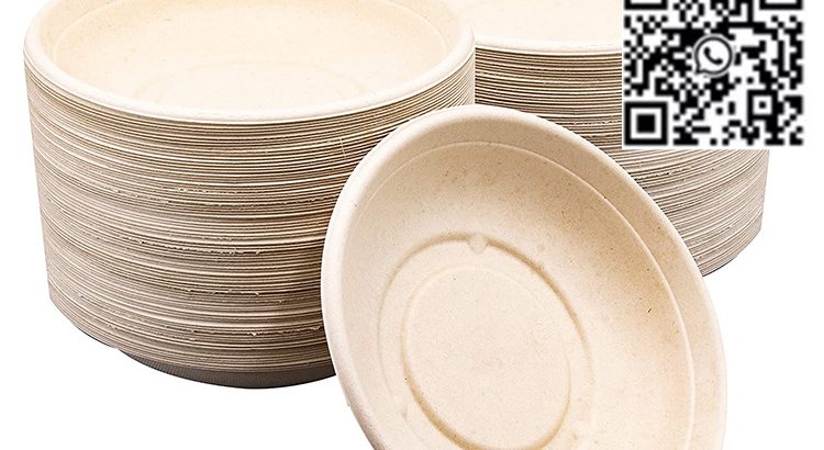 24 OZ food bowl disposable bagasse sugarcane take away bowl