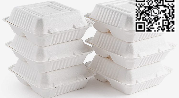 9 inch disposable clamshell box sugarcane bagasse food container