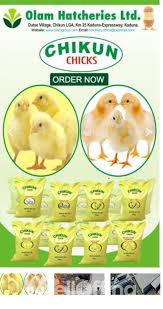 Olam Nigeria Feed and Hatcheries